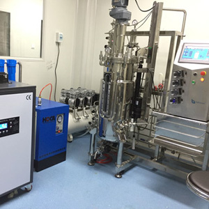 50l Stainless Steel Automatic Bioreactor